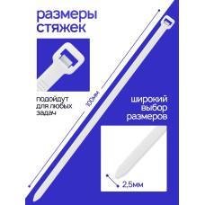 Стяжки пластиковые 2,5х100мм, белые, 100 штук